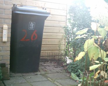 bak (22k image)
