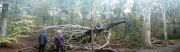 heilo_boom_small (3k image)
