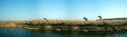 reiger_small (2k image)