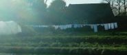 witte_broeken_small (3k image)