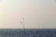 palen in de waddenzee