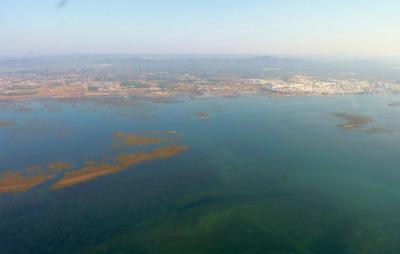 Faro