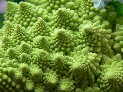 romanesco
