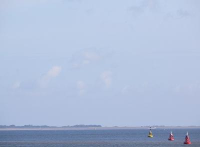 Texel